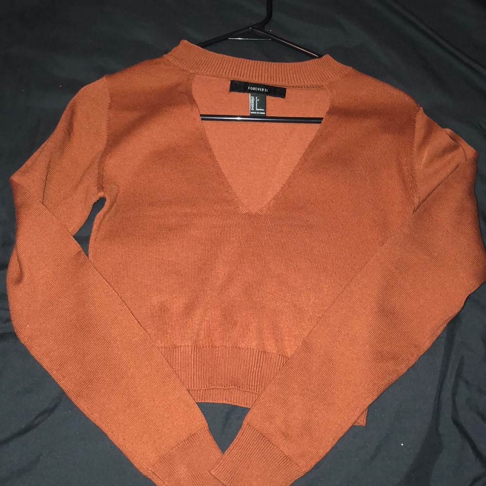 Rust crop top